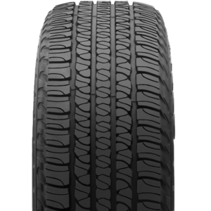 Goodyear Fortera